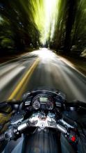 Motorrad auf Straße durch Wald